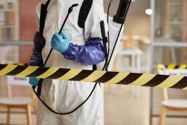 Professional Sewage Cleanup technician working in Naper, NE